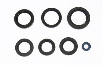 Athena komplet (zestaw) uszczelniaczy silnikowych kawasaki kvf360 prairie`03-13, kfx700`04-09